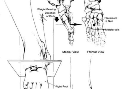 الصليب1 الصليب1