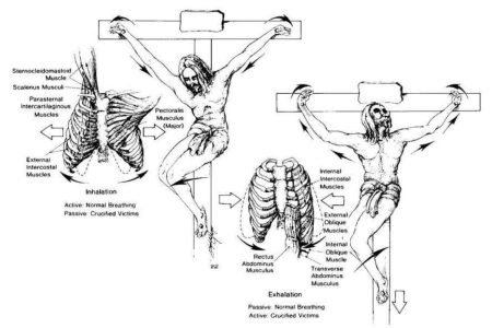 الصليب4 الصليب4