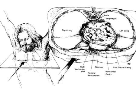 الصليب5 الصليب5